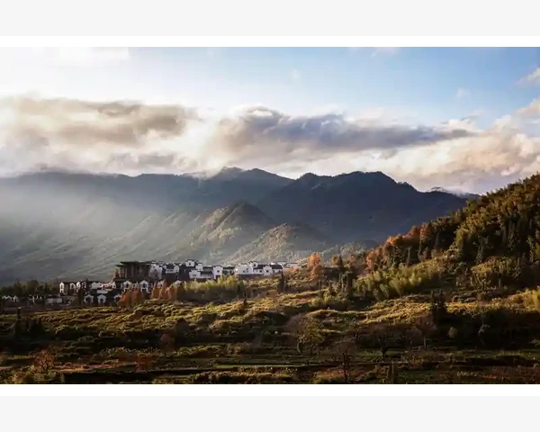 去肺结节艾灸灸哪里好用？中医告诉你